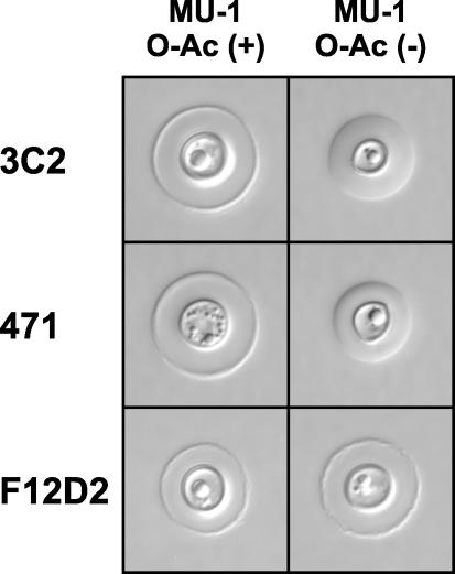 FIG. 4.