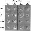 FIG. 3.
