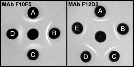 FIG. 2.