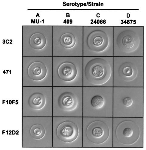 FIG. 3.