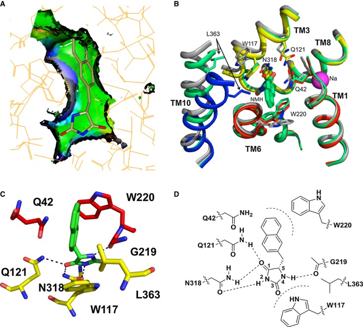 Figure 5