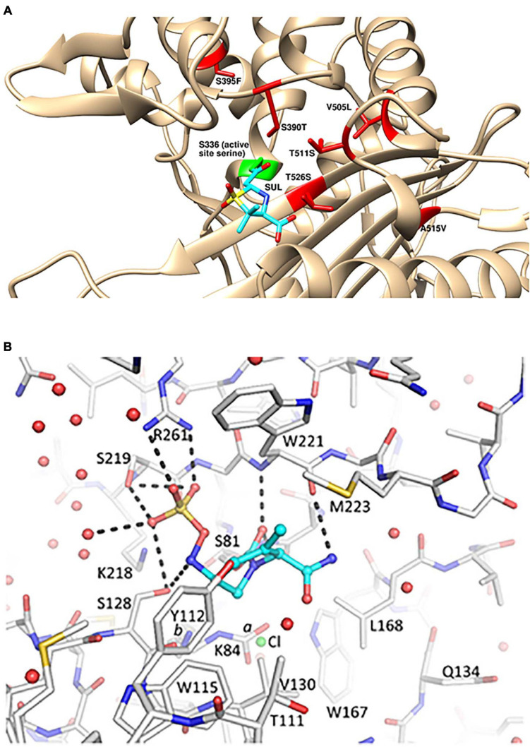 FIGURE 1