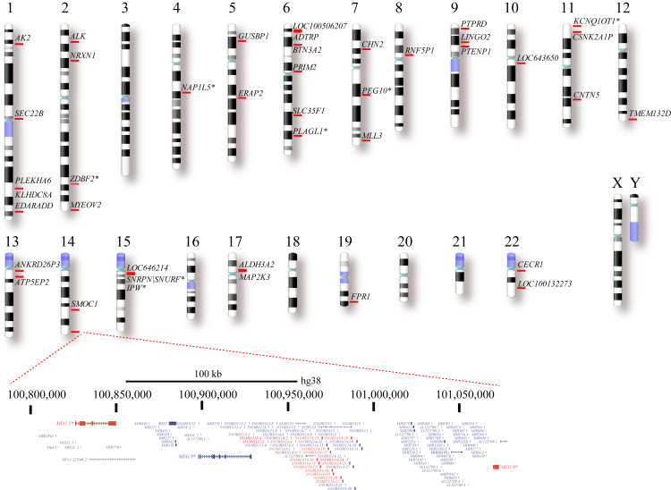 Figure 2