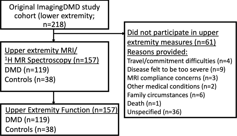 Flowchart shows the recruitment of participants with Duchenne muscular dystrophy (DMD) and unaffected male control participants from the ImagingDMD cohort who had previously participated in lower extremity MRI and proton MR spectroscopy acquisitions. Reasons provided by the family for not participating in this study are included when available.