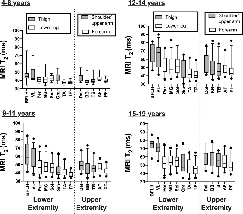 Box and whisker plots of MRI T2 in upper and lower extremity muscles in different age groups. Whisker bars represent 5th and 95th percentiles and dots are shown for outliers. AF = anterior forearm, BB = biceps brachii, BFLH = biceps femoris long head, Del = deltoid, Gra = gracilis, MG = medial gastrocnemius, Per = peroneals, PF = posterior forearm, Sol = soleus, TA = tibialis anterior, TB = triceps brachii, TP = tibialis posterior, VL = vastus lateralis.