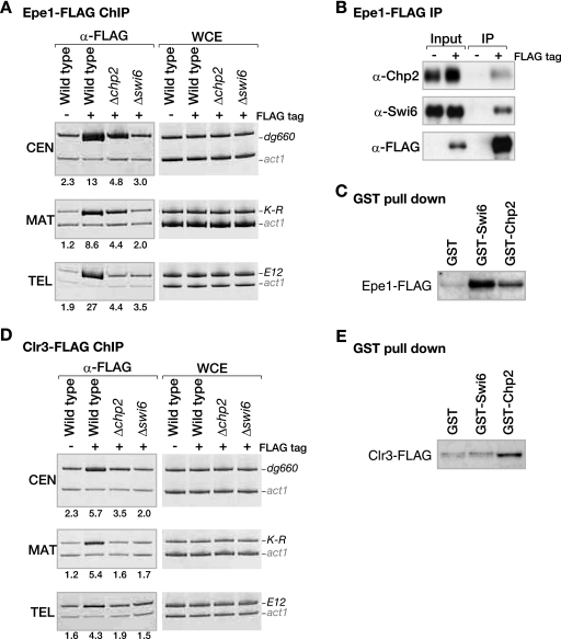 FIG. 4.