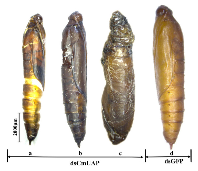 Figure 10