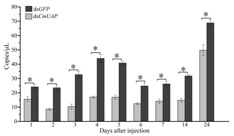 Figure 6