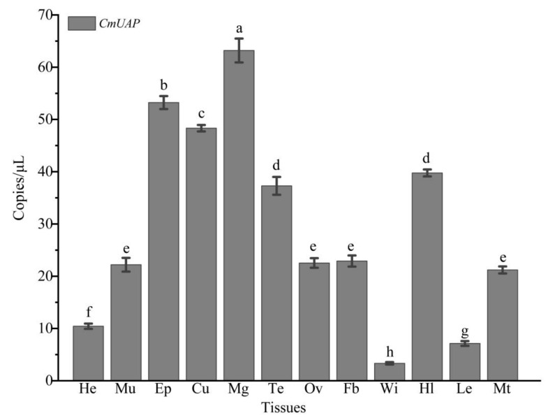 Figure 5