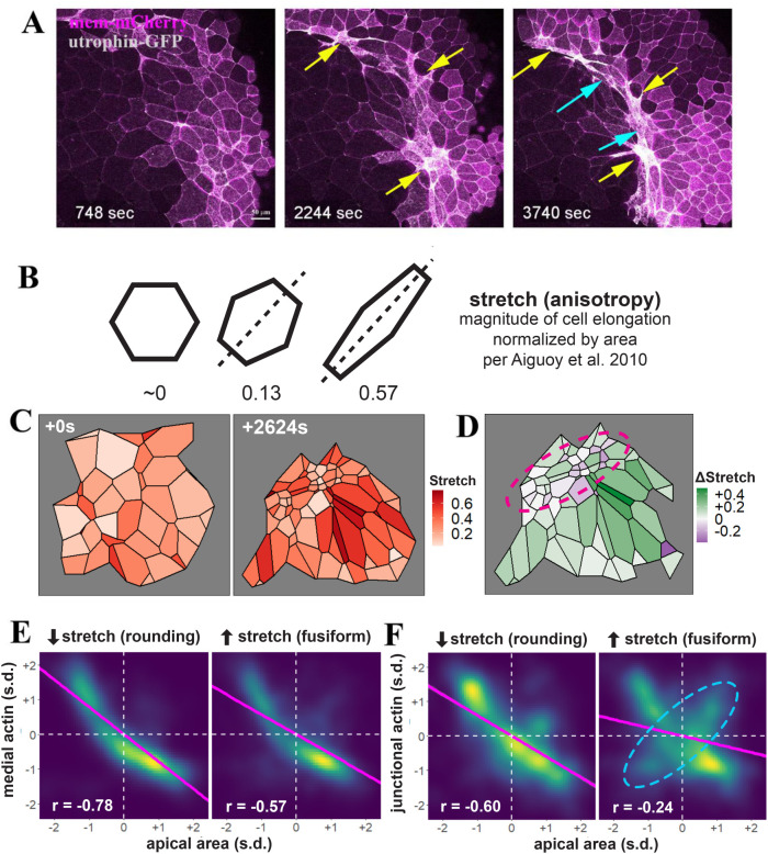 FIGURE 3: