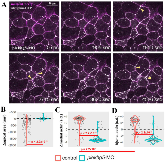 FIGURE 4: