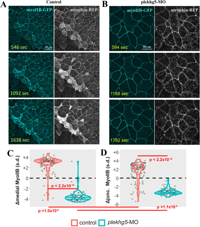 FIGURE 6: