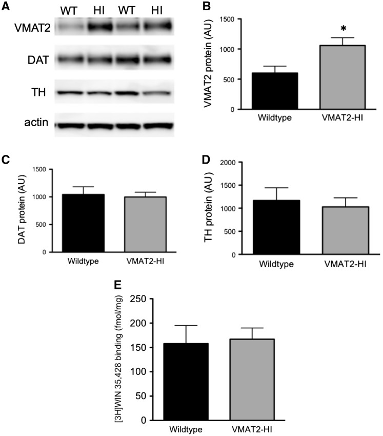 FIG. 4.