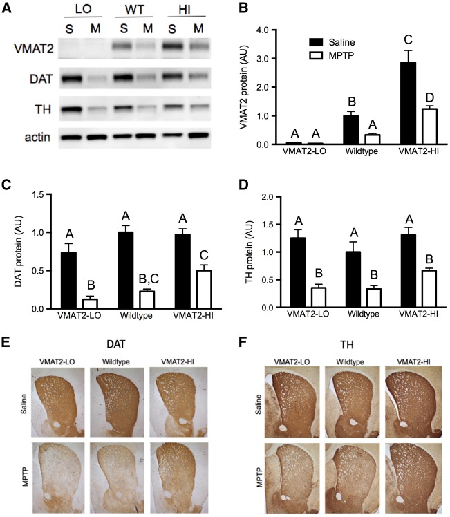 FIG. 2.