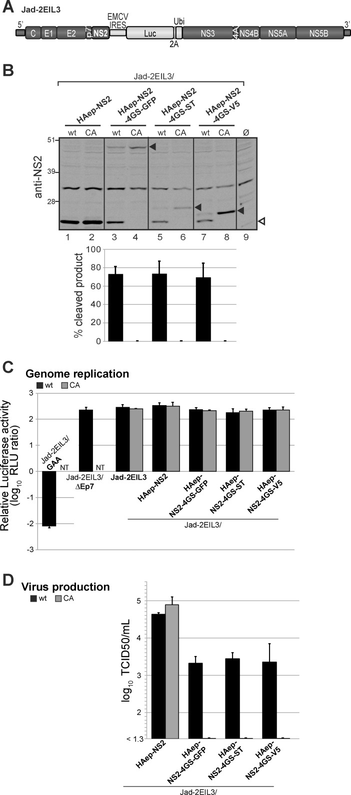 Fig 10