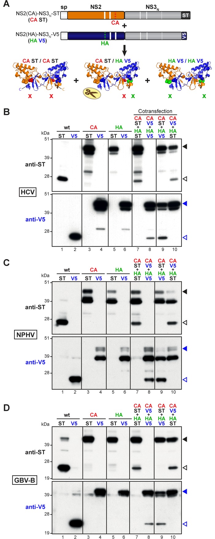 Fig 4