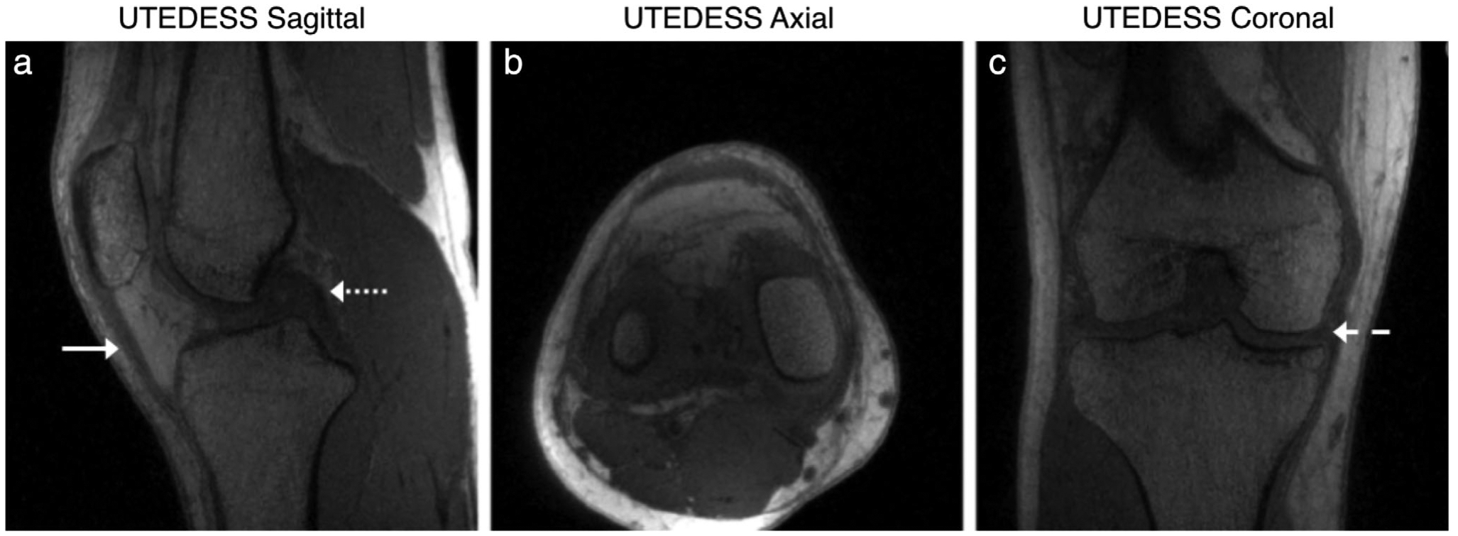 FIGURE 6: