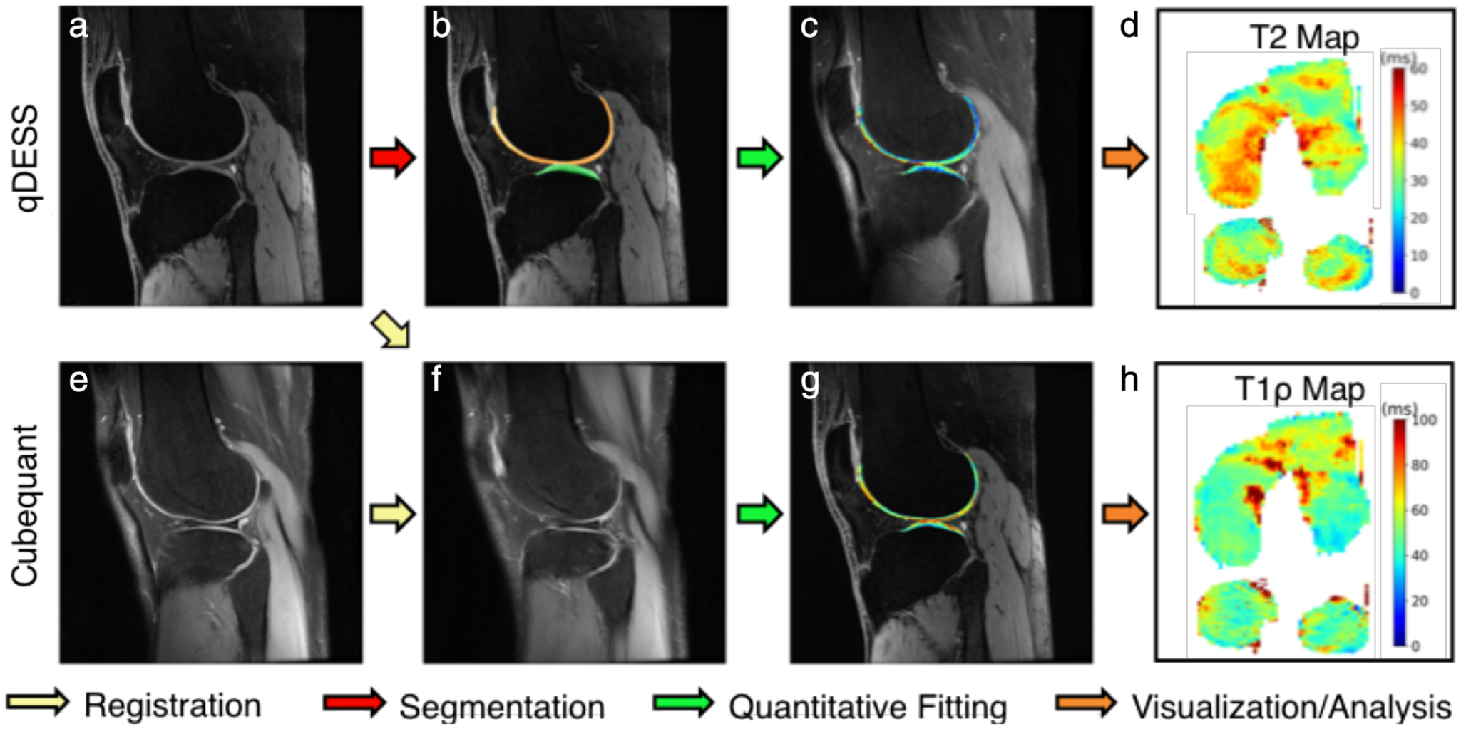 FIGURE 12: