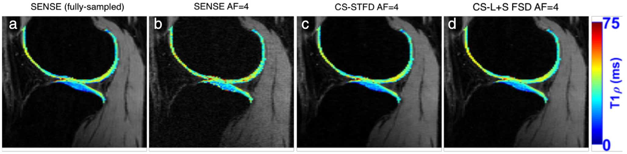 FIGURE 9: