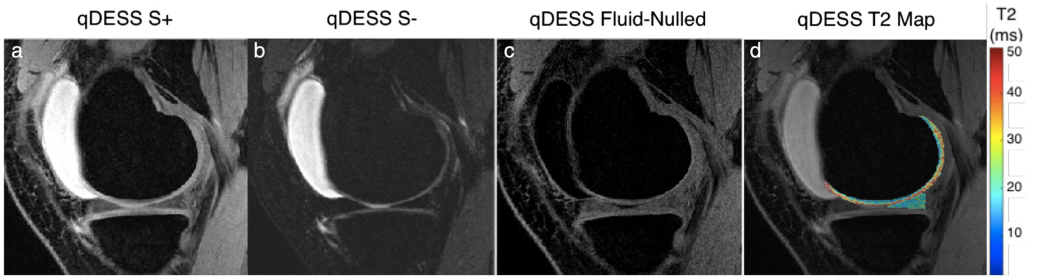 FIGURE 5: