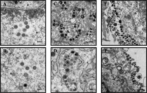 FIG. 6.