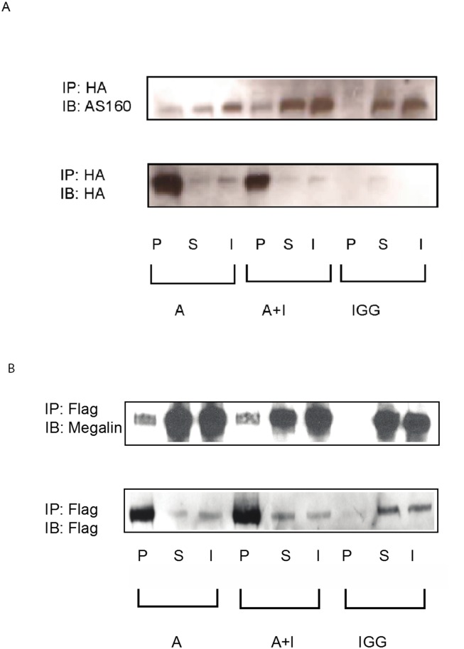 Fig 5