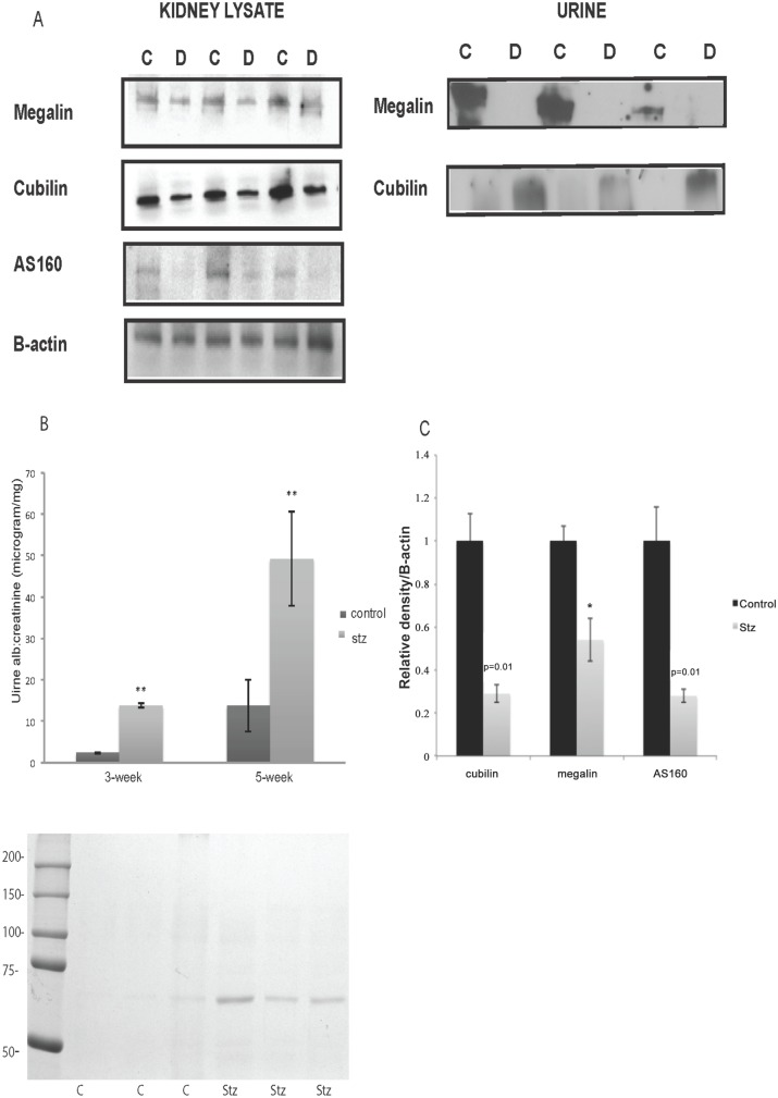 Fig 8