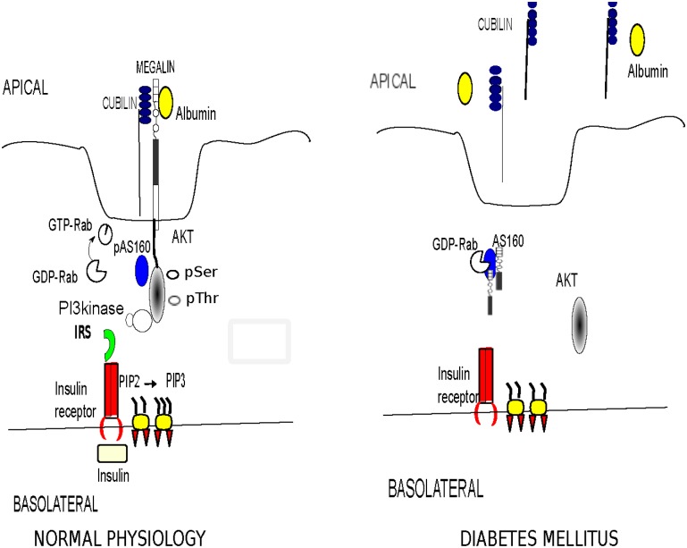 Fig 11