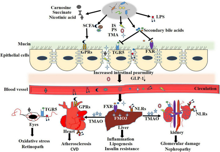 FIGURE 2