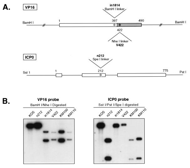 FIG. 1