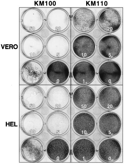 FIG. 6