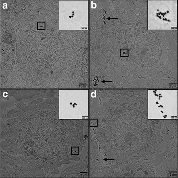 Fig. 7