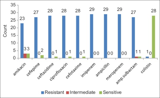 Prevalence Of Acquired Carbapenemase Genes In Klebsiella Pneumoniae By 