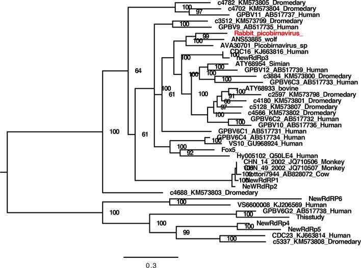 Fig. 3