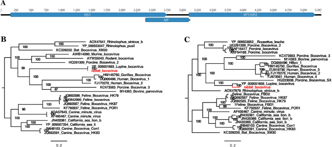 Fig. 4