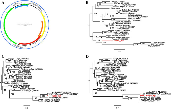 Fig. 1