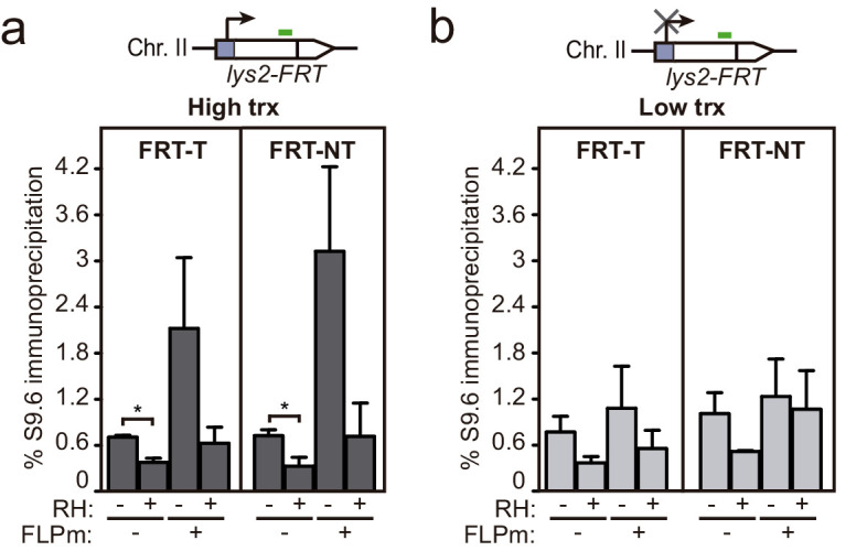 Figure 6—figure supplement 1.