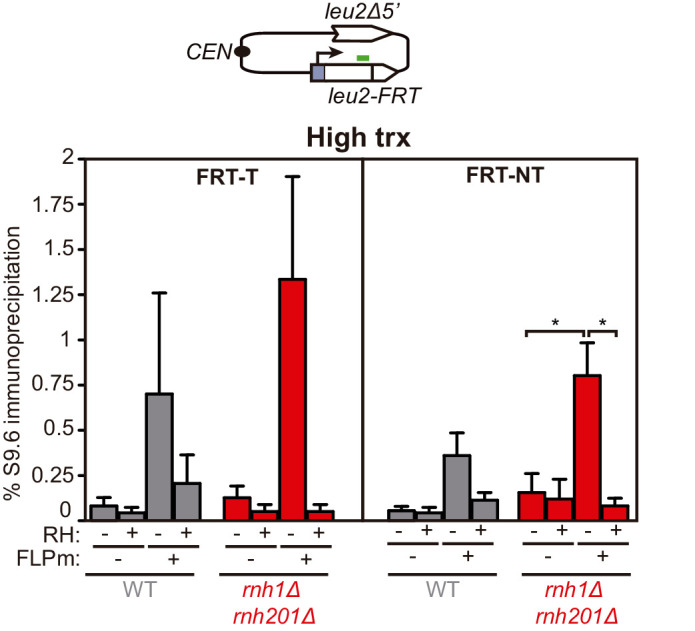 Figure 3—figure supplement 1.