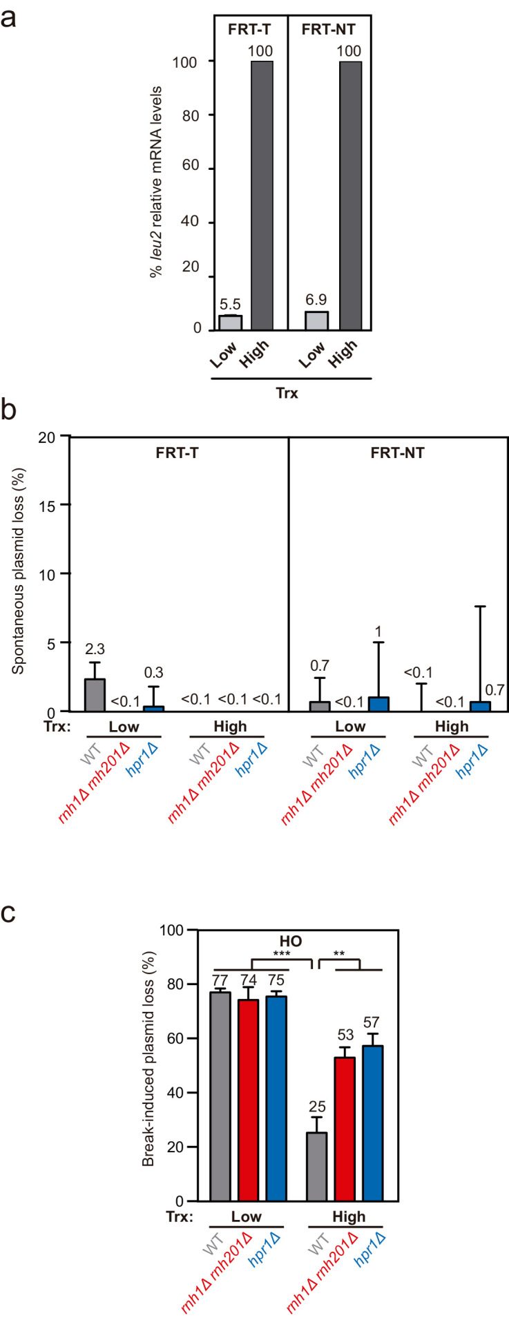 Figure 1—figure supplement 1.