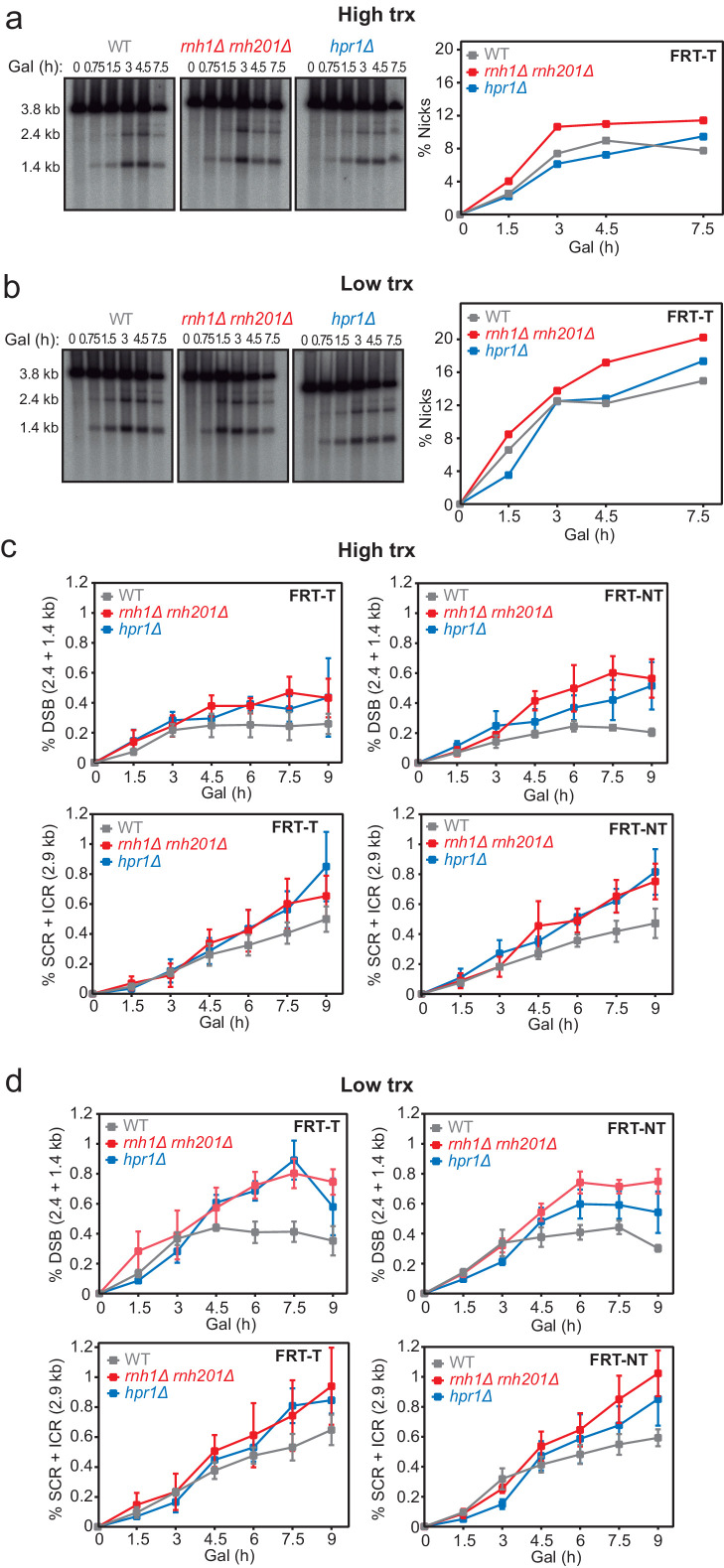 Figure 2—figure supplement 1.