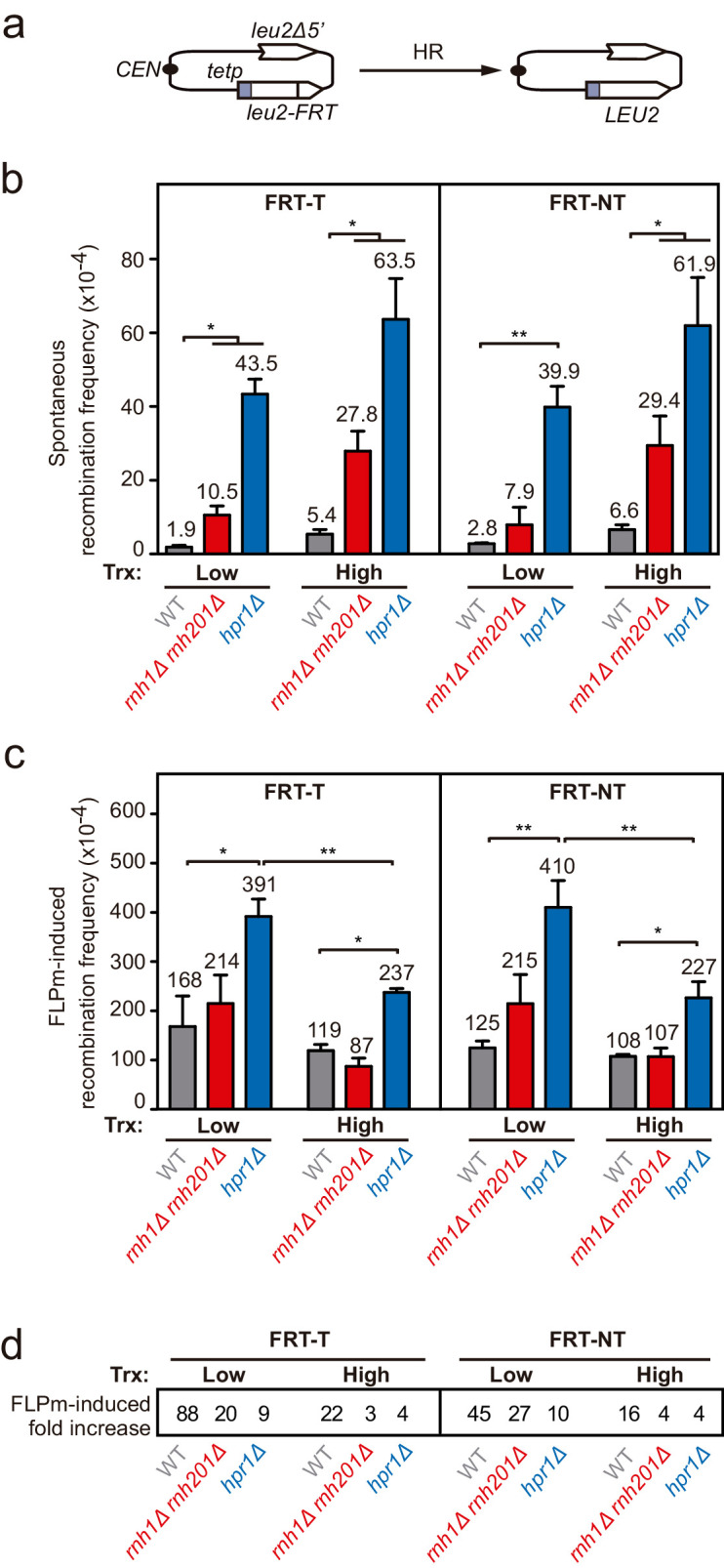 Figure 2—figure supplement 2.