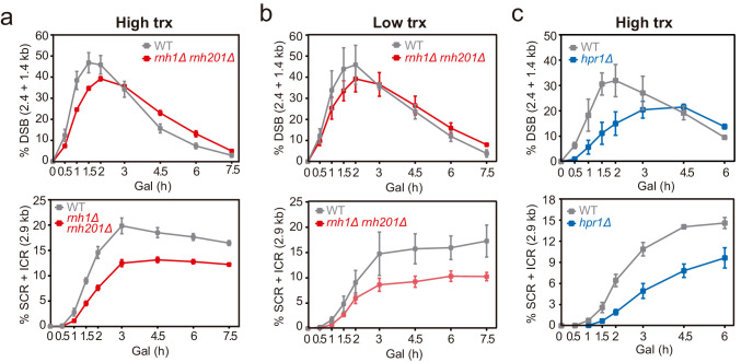 Figure 4—figure supplement 1.