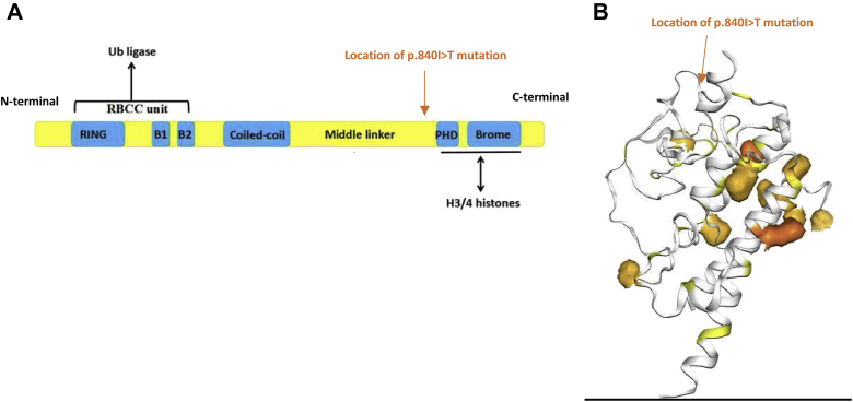 Figure 3