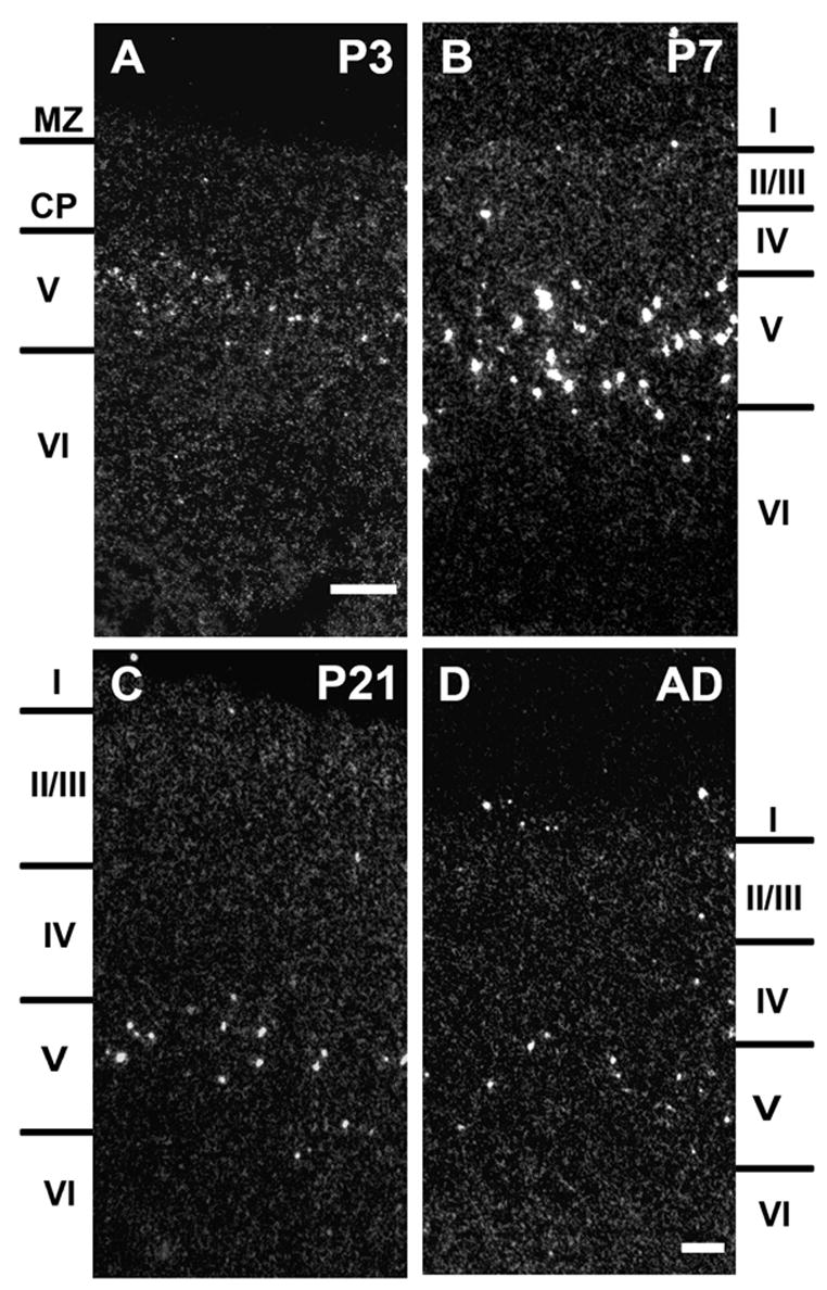 Fig.4