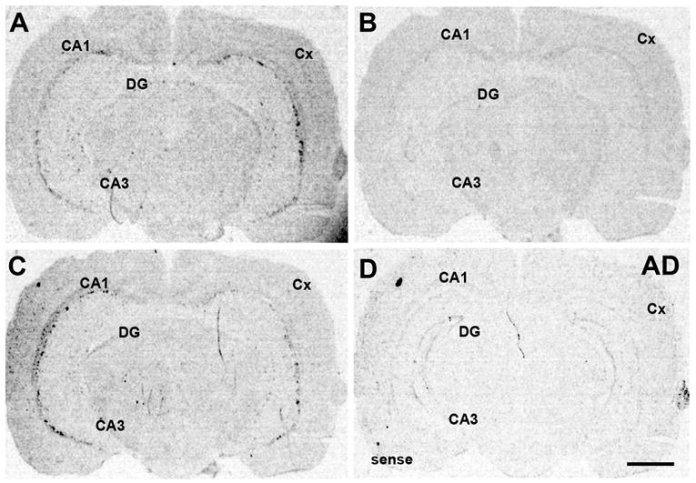 Fig.1