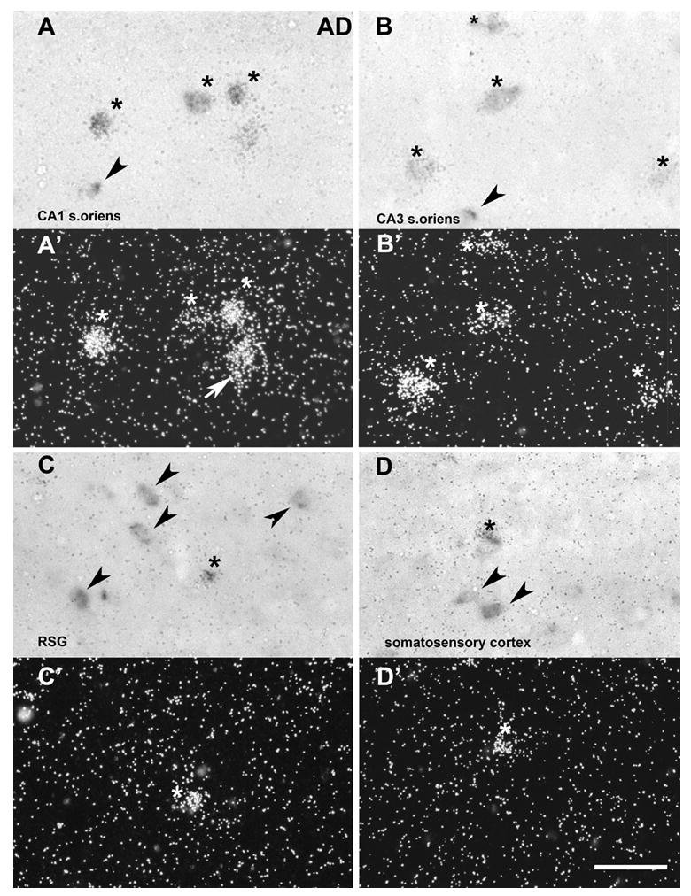 Fig.7