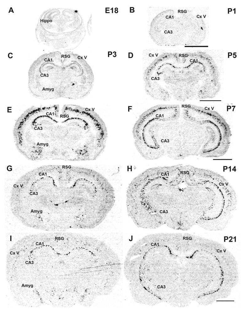 Fig.2