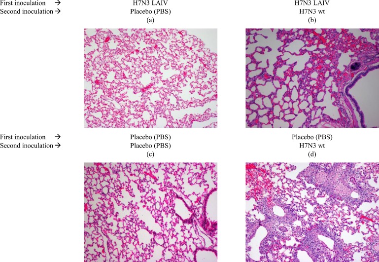 Fig. (2)