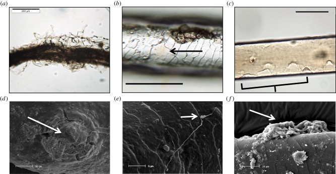 Figure 2.