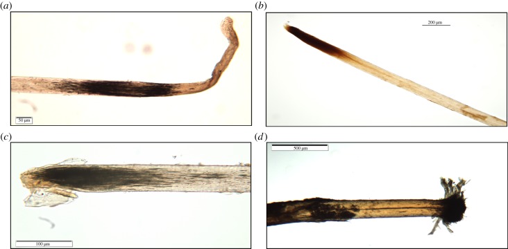 Figure 4.